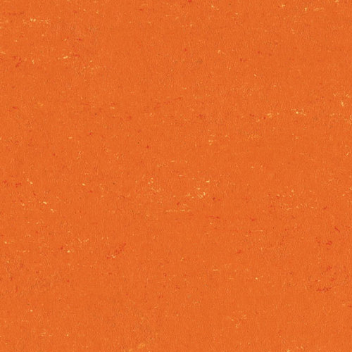 0170 Kumquat Orange